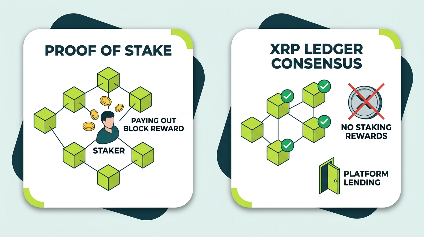 Comparison illustration showing proof of stake networks paying protocol staking rewards versus the XRP Ledger consensus protocol with no staking, no block rewards, and yield only available through platform lending programs