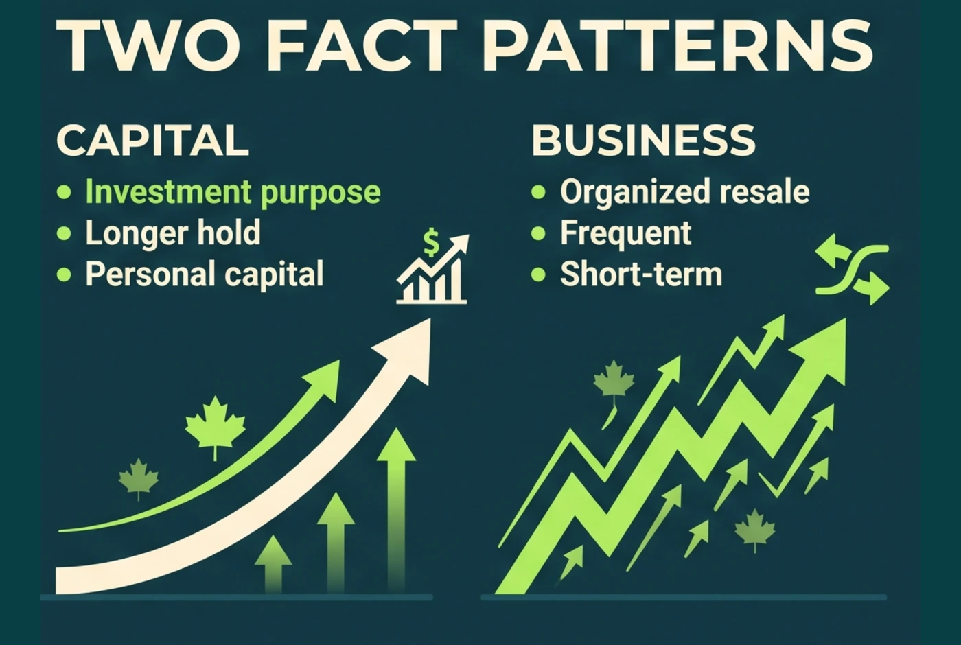 Canadian crypto capital-account and business-pattern comparison